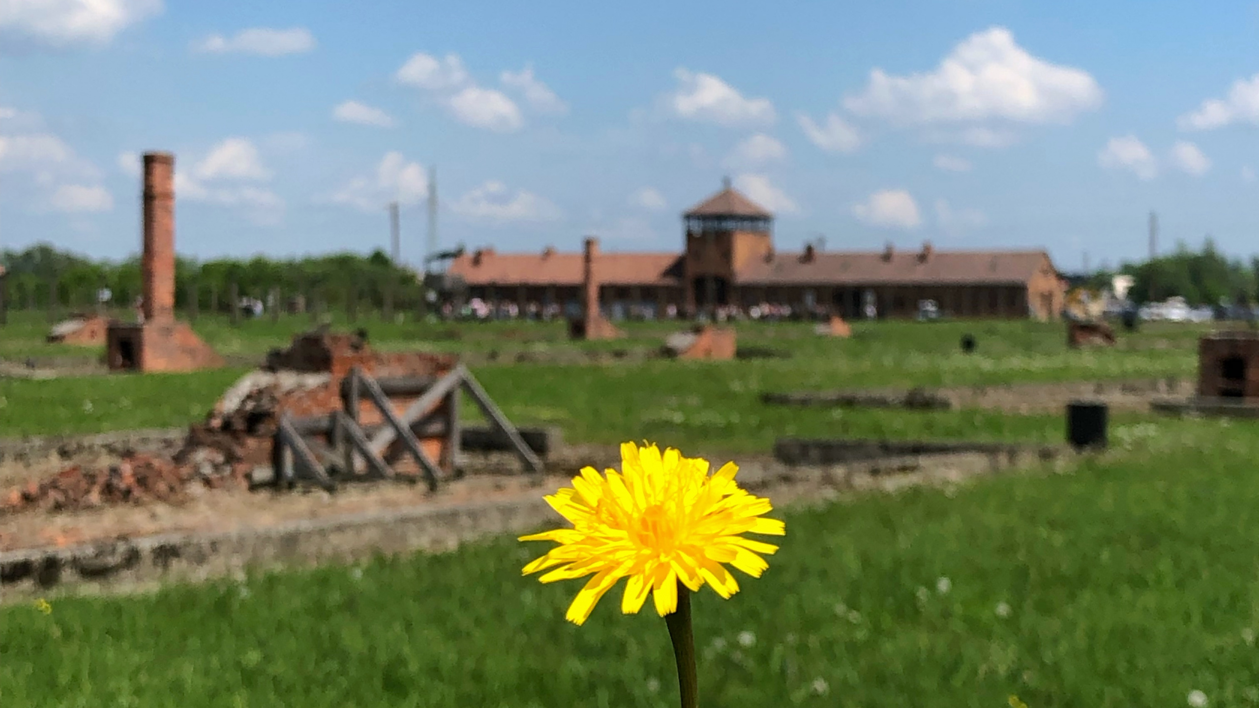 Обои пистолет для пенополиуретана 025ст, физика, дневное время, цветок, земельный участок в разрешении 2560x1440