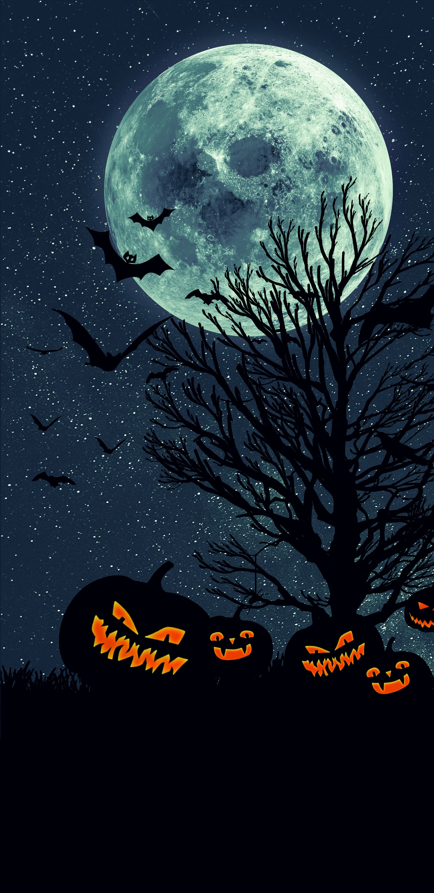 Обои земля, луна, восход земли, небесный объект, атмосфера в разрешении 1440x2960