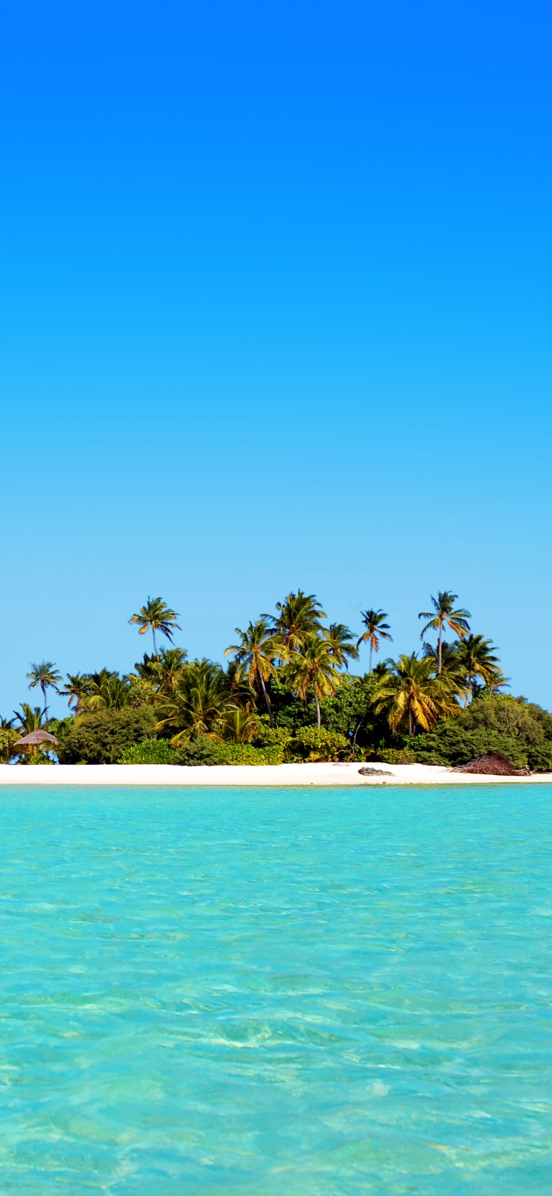 Обои море, океан, прибрежные и океанические рельефы, островок, тропическая зона в разрешении 1125x2436