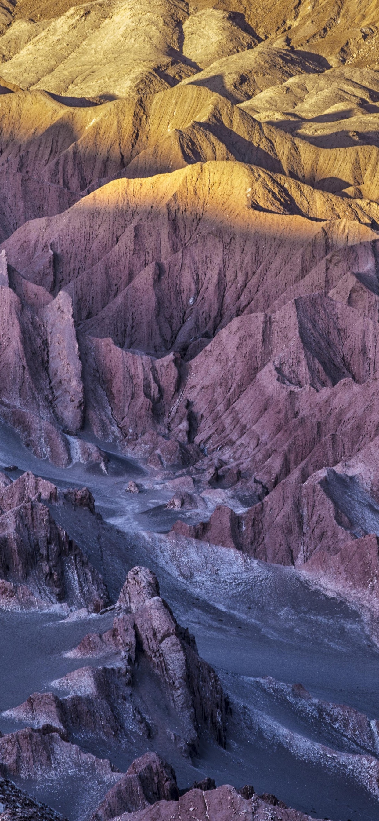 Обои айпад, ipad pro, apple, iPad Pro 2017, яблоко в разрешении 1242x2688