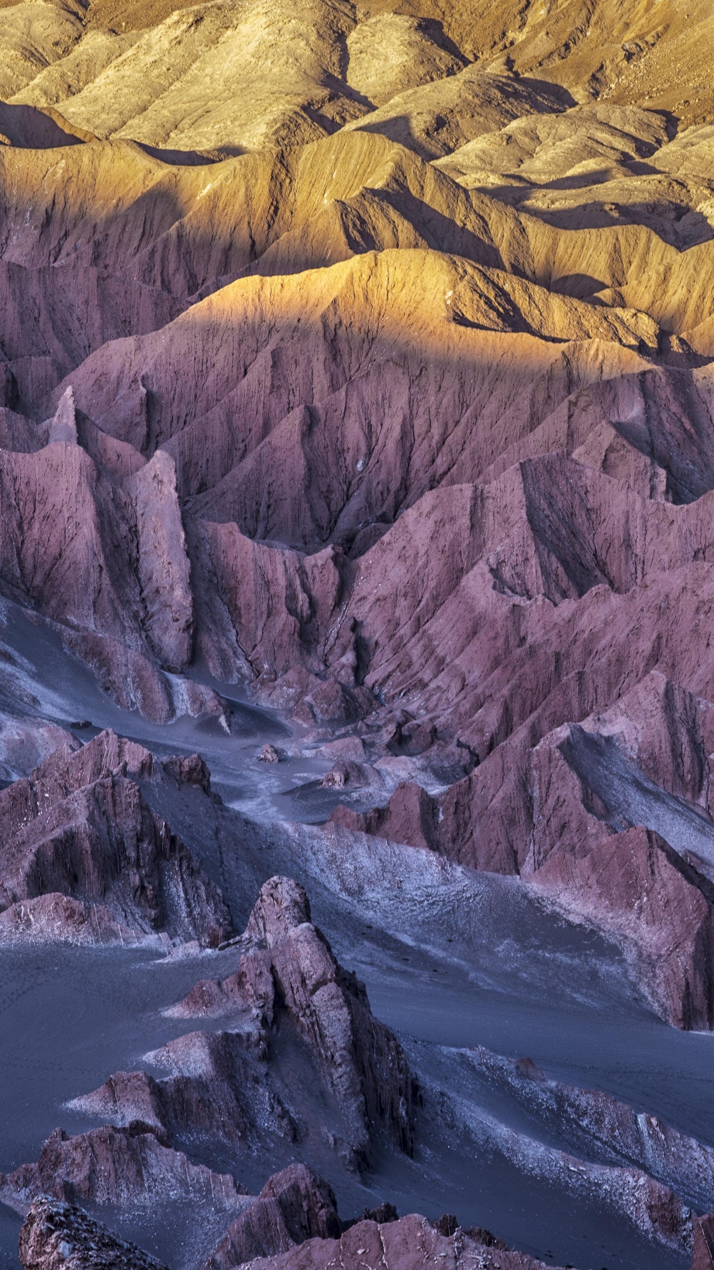 Обои айпад, ipad pro, apple, iPad Pro 2017, яблоко в разрешении 1440x2560