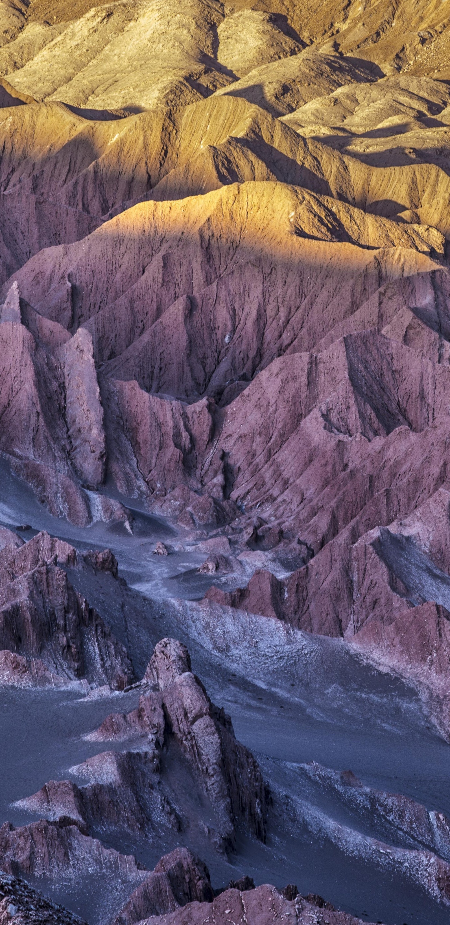 Обои айпад, ipad pro, apple, iPad Pro 2017, яблоко в разрешении 1440x2960