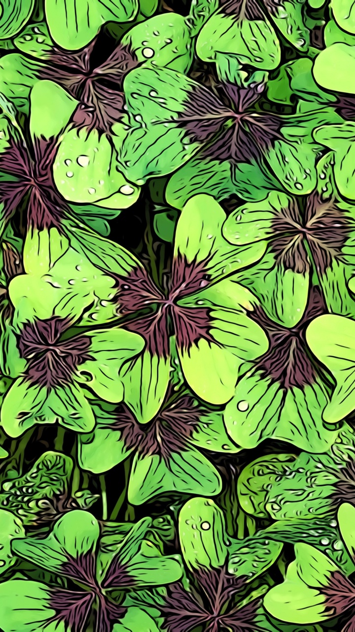 Обои удача, зеленый, цветок, растение, лист в разрешении 720x1280