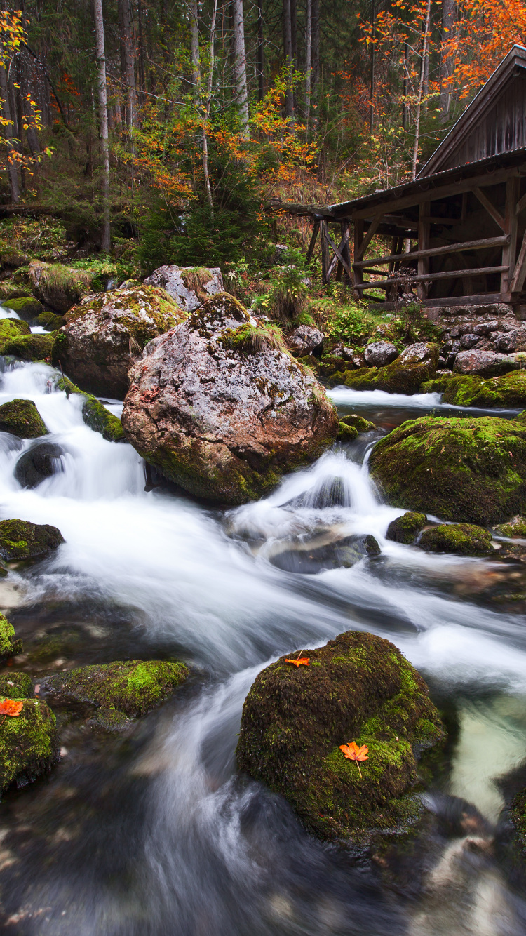 Обои национальный парк аюб, национальный парк плитвицкие озера, национальный парк каньонлендс, водопад, национальный парк в разрешении 750x1334