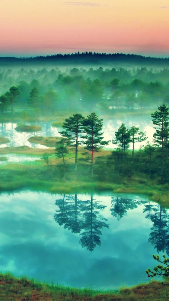 Обои природа, гидроресурсы, вода, утро, отражение в разрешении 720x1280