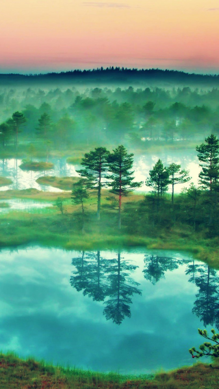 Обои природа, гидроресурсы, вода, утро, отражение в разрешении 750x1334