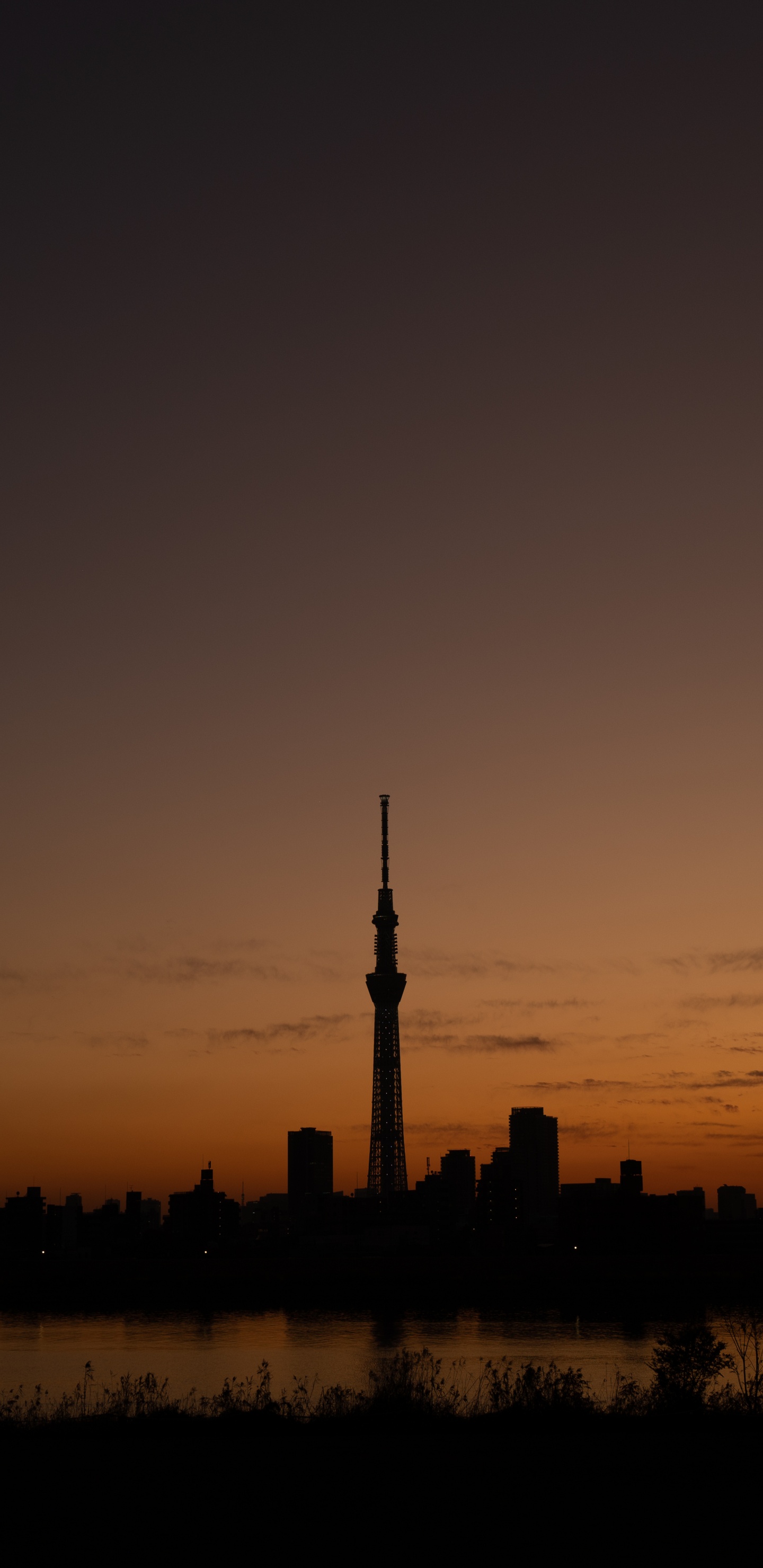 Обои силуэт, вечер, сумрак, послесвечение, закат в разрешении 1440x2960