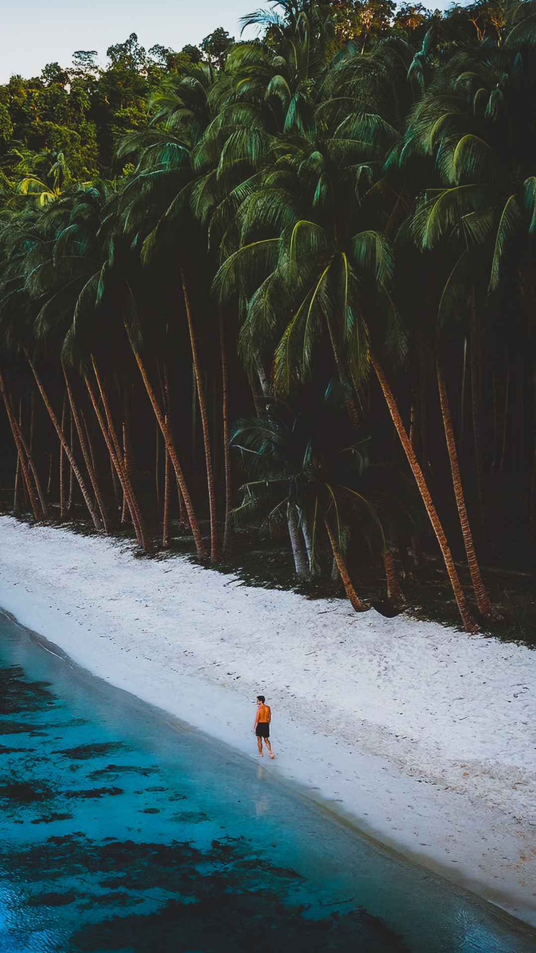 Обои вода, гидроресурсы, растение, природа, лист в разрешении 1080x1920