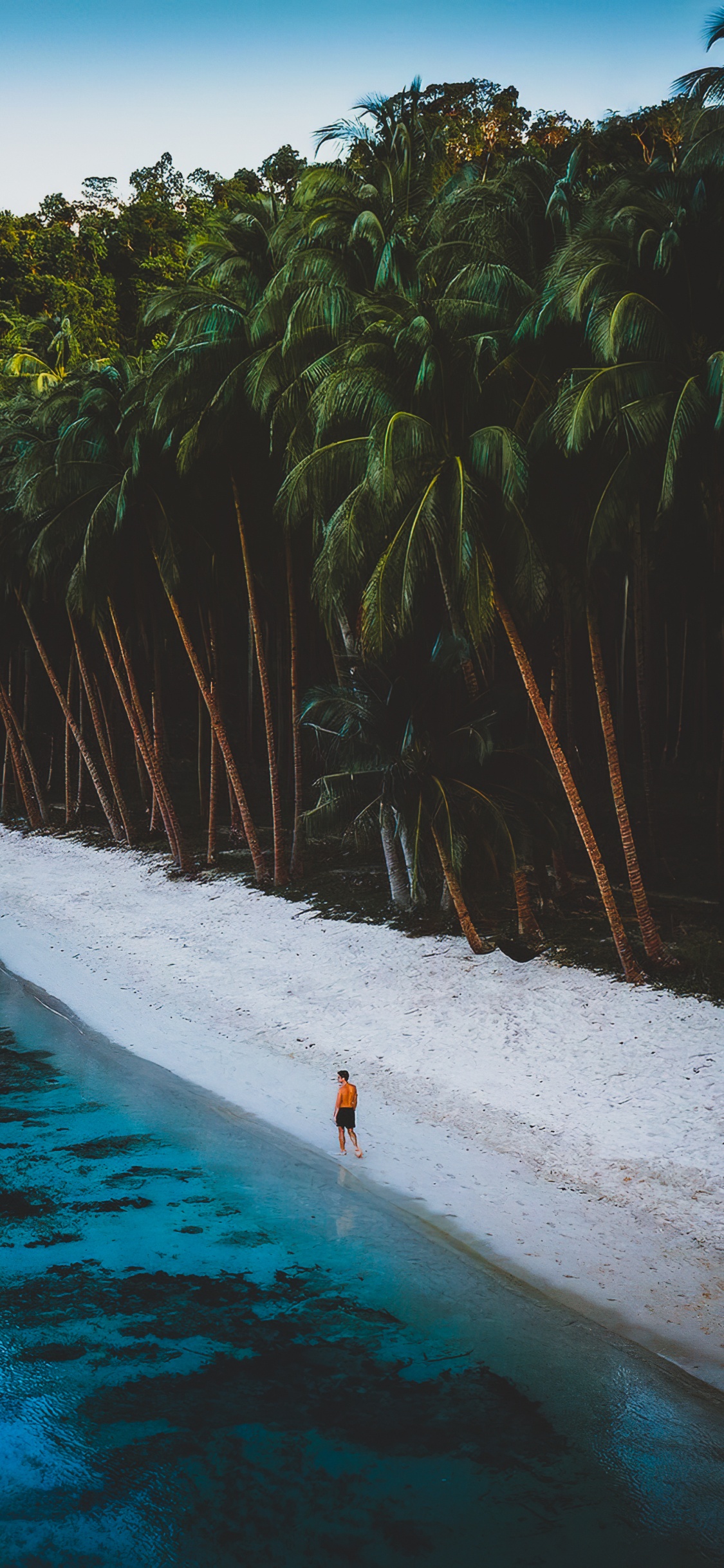 Обои вода, гидроресурсы, растение, природа, лист в разрешении 1125x2436