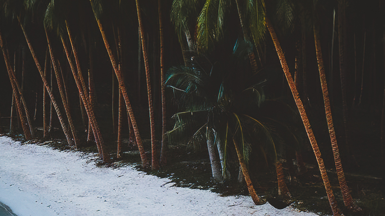 Обои вода, гидроресурсы, растение, природа, лист в разрешении 1280x720