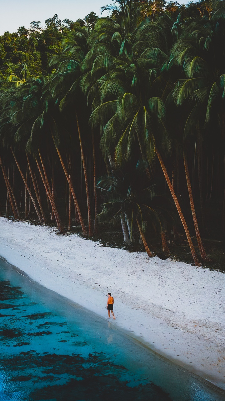 Обои вода, гидроресурсы, растение, природа, лист в разрешении 720x1280