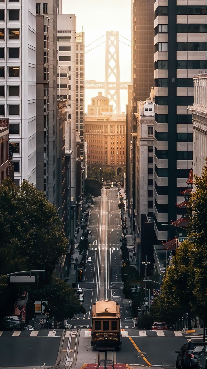 Обои Питер Сага, здание, небоскреб, свет, инфраструктура в разрешении 720x1280