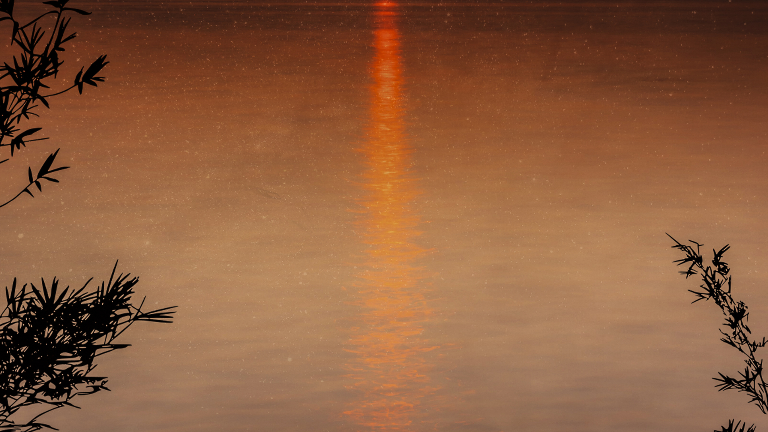 Обои послесвечение, вода, мост, облако, гидроресурсы в разрешении 2560x1440