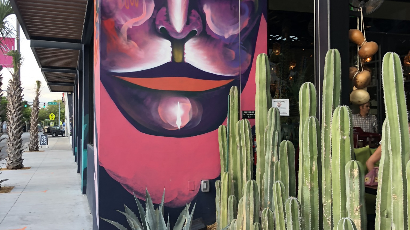 Обои Майами, арт, наука, биология, наземное растение в разрешении 1366x768