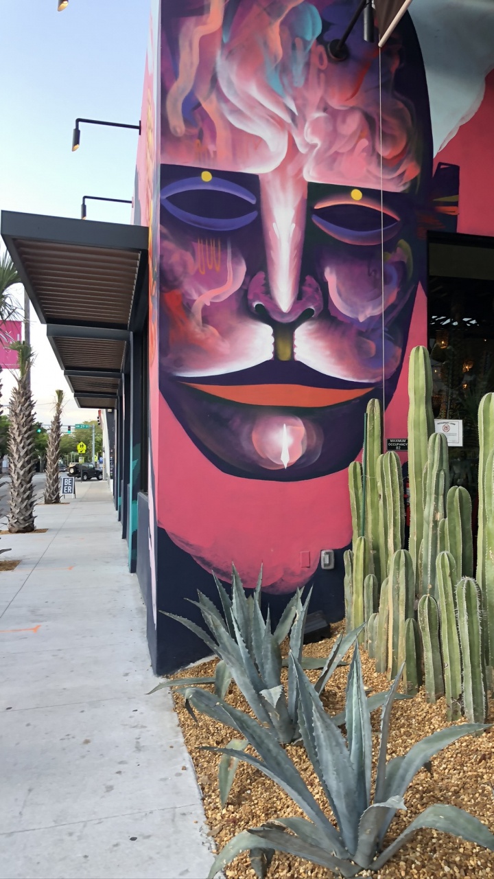 Обои Майами, арт, наука, биология, наземное растение в разрешении 720x1280