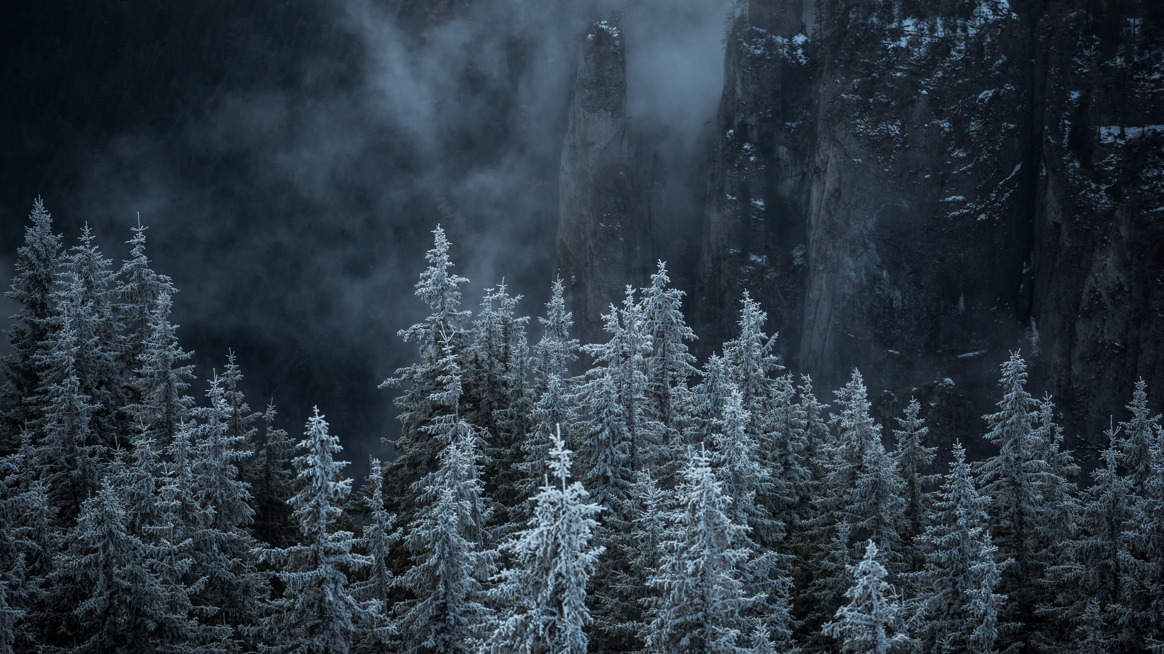 Обои гора, природа, биом, пихта, ель еловый лес в разрешении 3840x2160