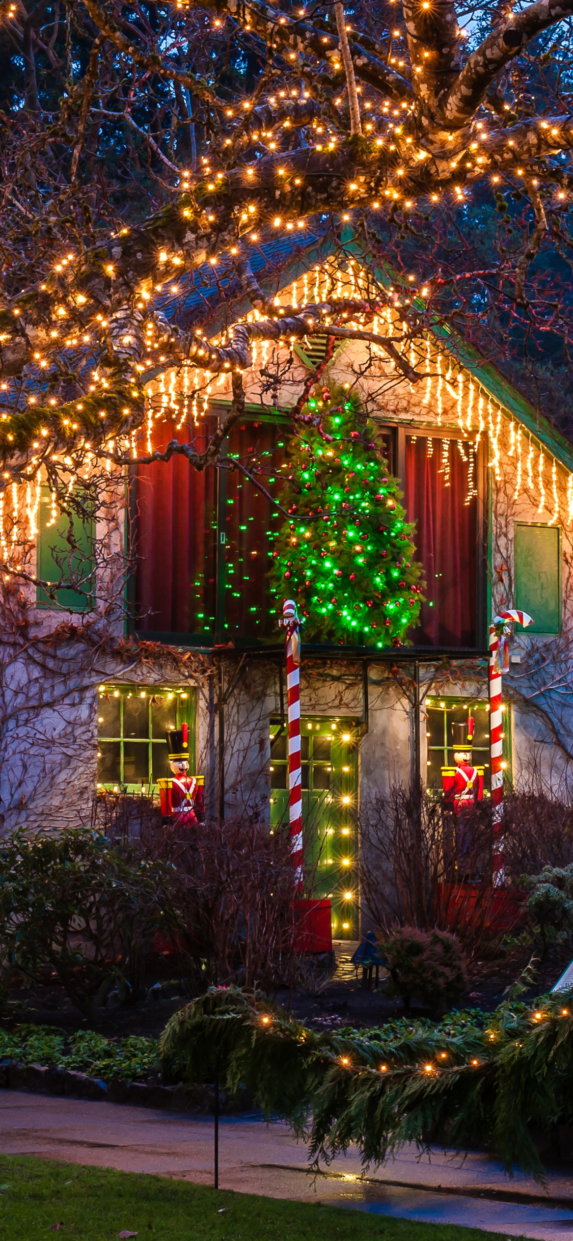Обои Ванкувер, Рождественский день, Новый год, Праздничные дни в Канаде, Рождественские огни в разрешении 1125x2436