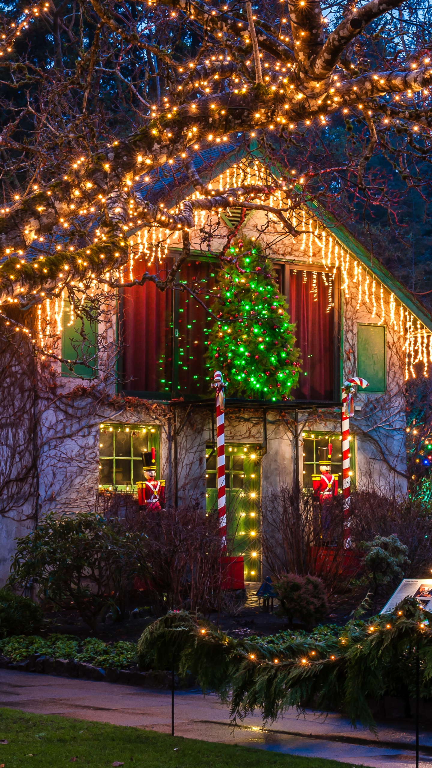 Обои Ванкувер, Рождественский день, Новый год, Праздничные дни в Канаде, Рождественские огни в разрешении 1440x2560