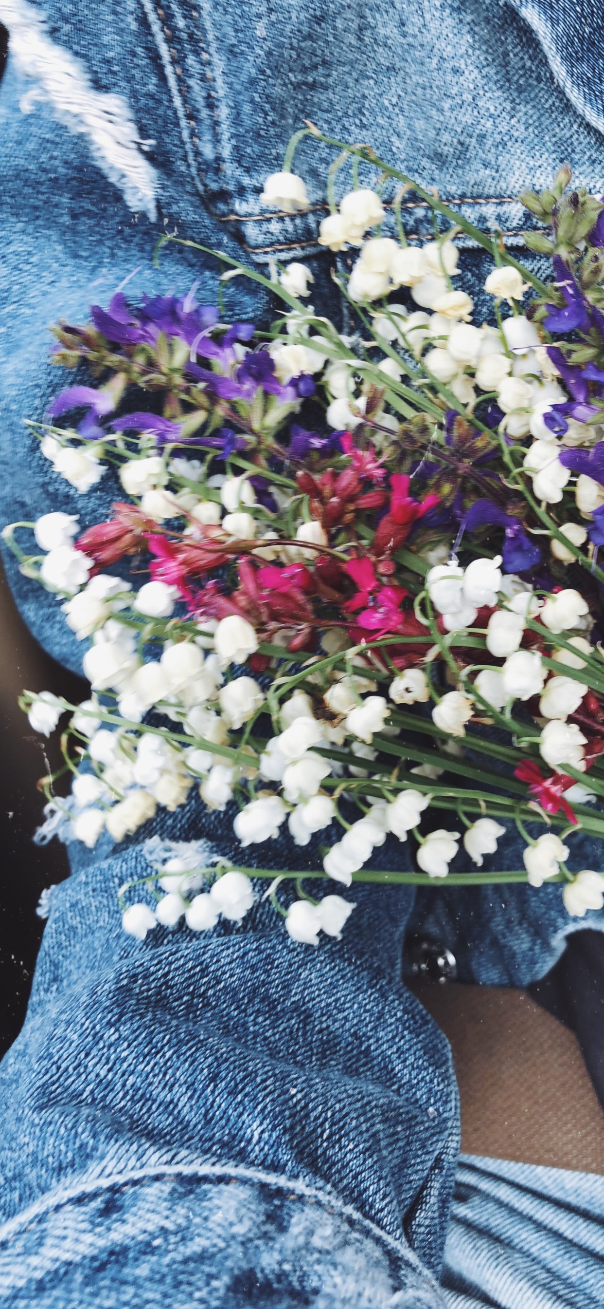 Обои срезанные цветы, цветочный дизайн, цветочный букет, наука, синий в разрешении 1242x2688