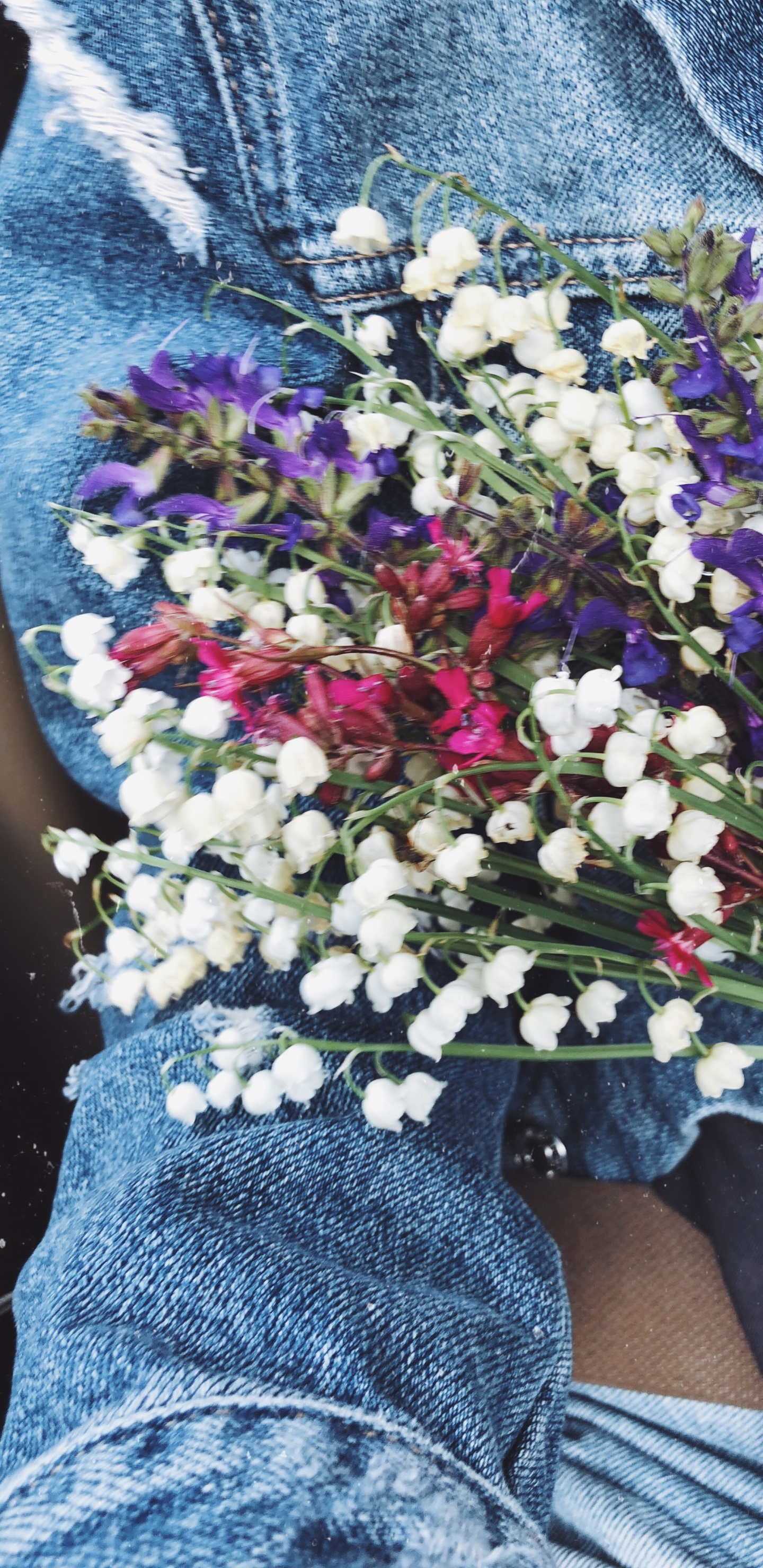 Обои срезанные цветы, цветочный дизайн, цветочный букет, наука, синий в разрешении 1440x2960