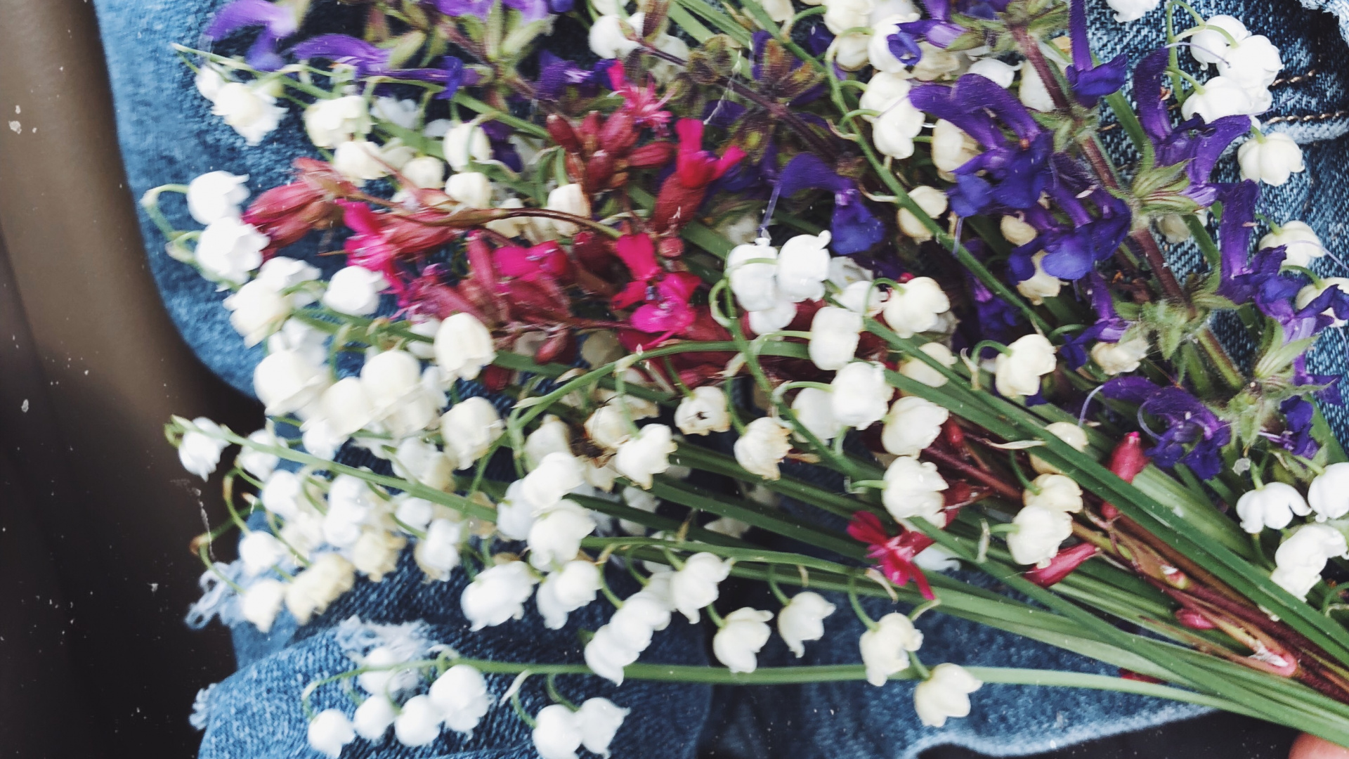 Обои срезанные цветы, цветочный дизайн, цветочный букет, наука, синий в разрешении 1920x1080