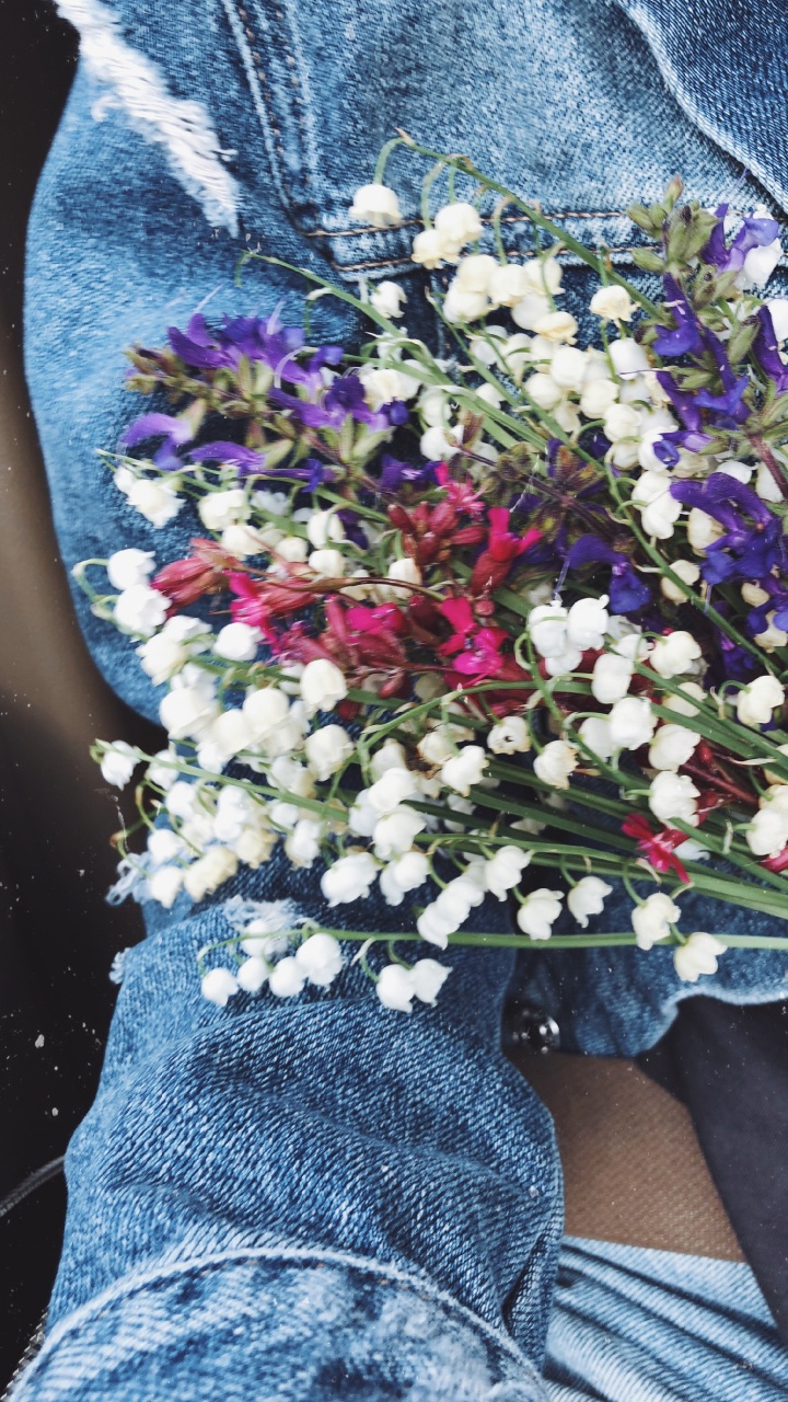 Обои срезанные цветы, цветочный дизайн, цветочный букет, наука, синий в разрешении 720x1280