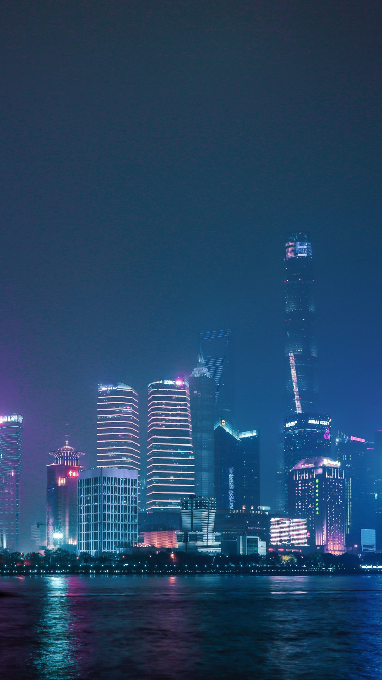 Обои городской пейзаж, город, линия горизонта, метрополия, ночь в разрешении 750x1334