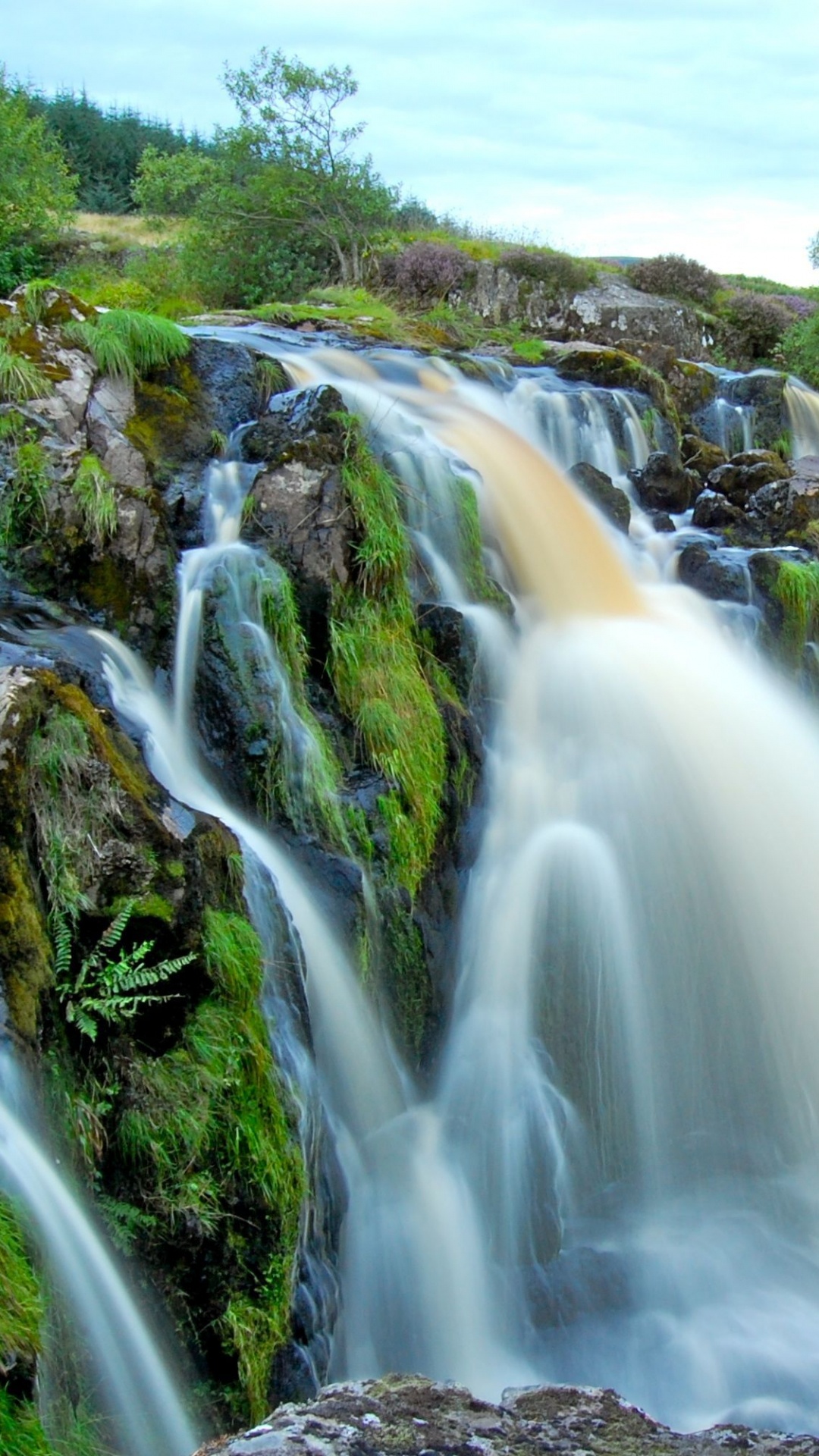 Обои водопад, Лу Финтри, Финтри, водоток, природный заповедник в разрешении 1080x1920