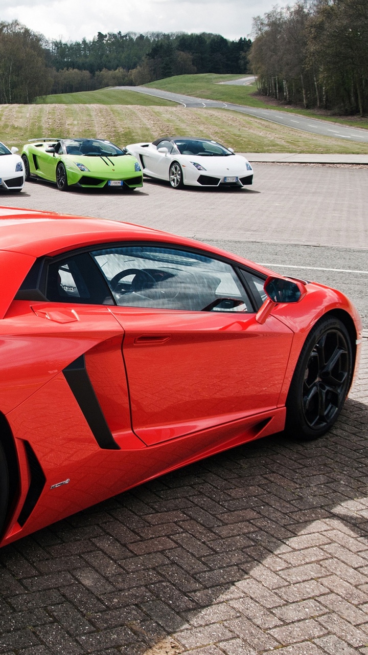 Обои Ламборгини авентадор, Ламборджини, суперкар, Ламборгини, lamborghini gallardo в разрешении 720x1280