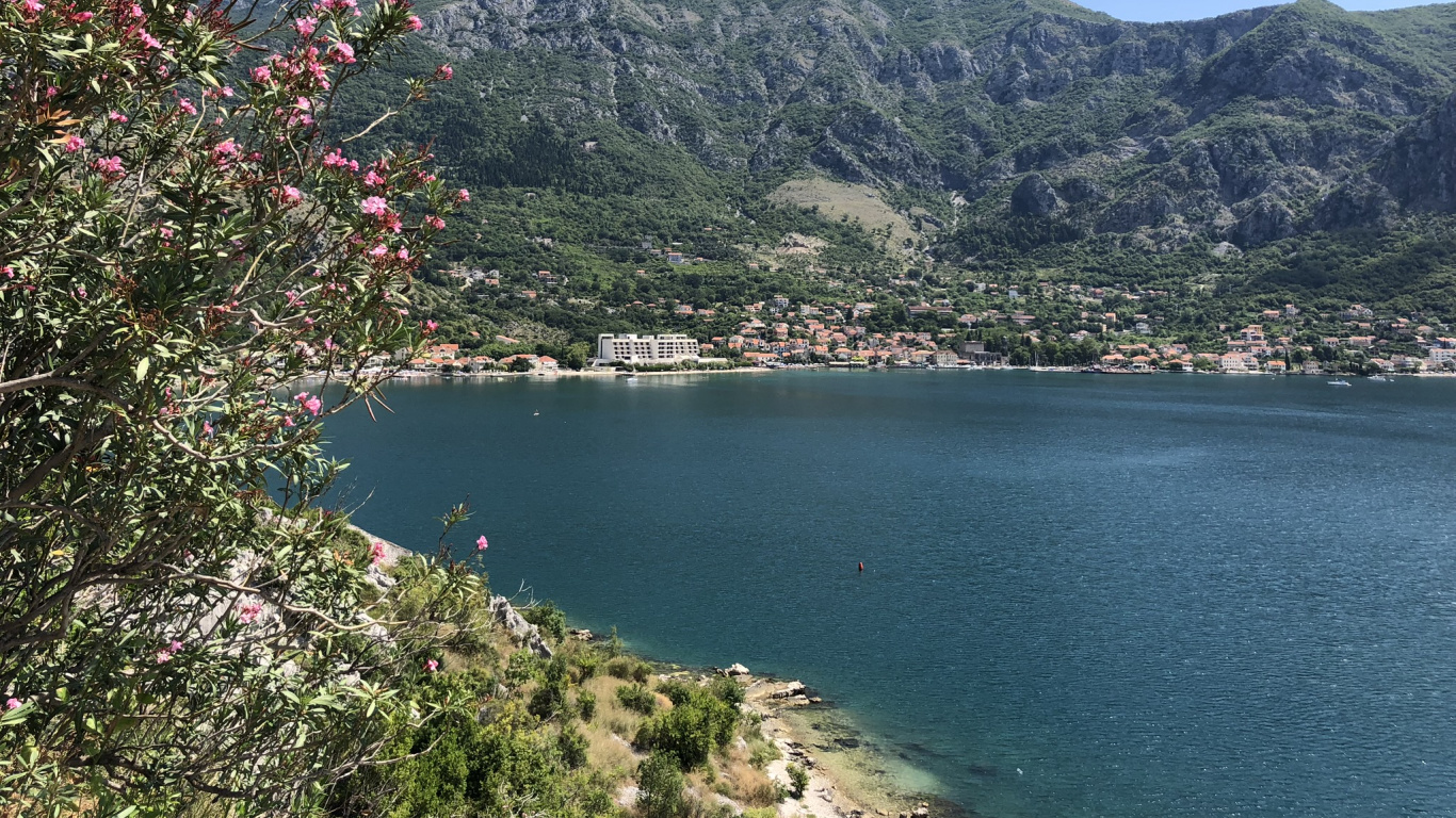 Обои растительность, водоем, природа, горный рельеф, побережье в разрешении 1366x768
