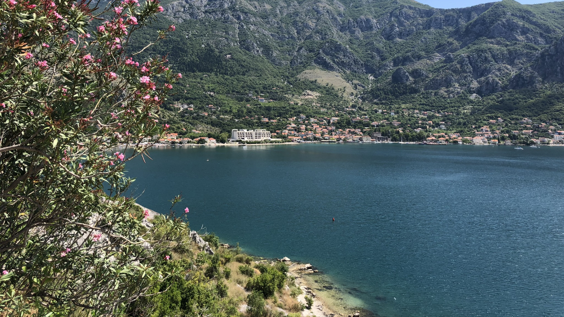 Обои растительность, водоем, природа, горный рельеф, побережье в разрешении 1920x1080