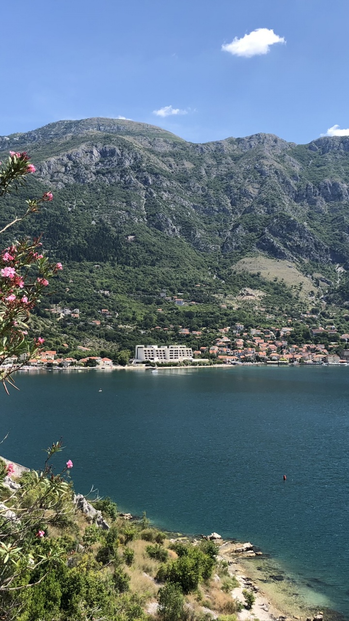 Обои растительность, водоем, природа, горный рельеф, побережье в разрешении 720x1280