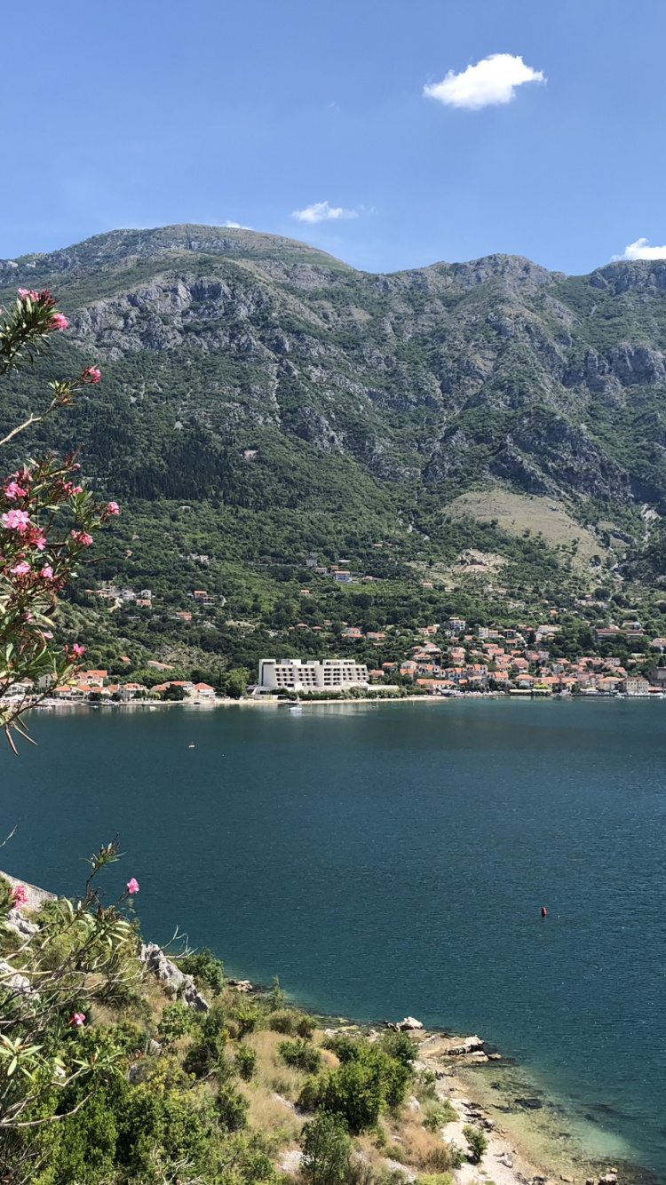 Обои растительность, водоем, природа, горный рельеф, побережье в разрешении 750x1334