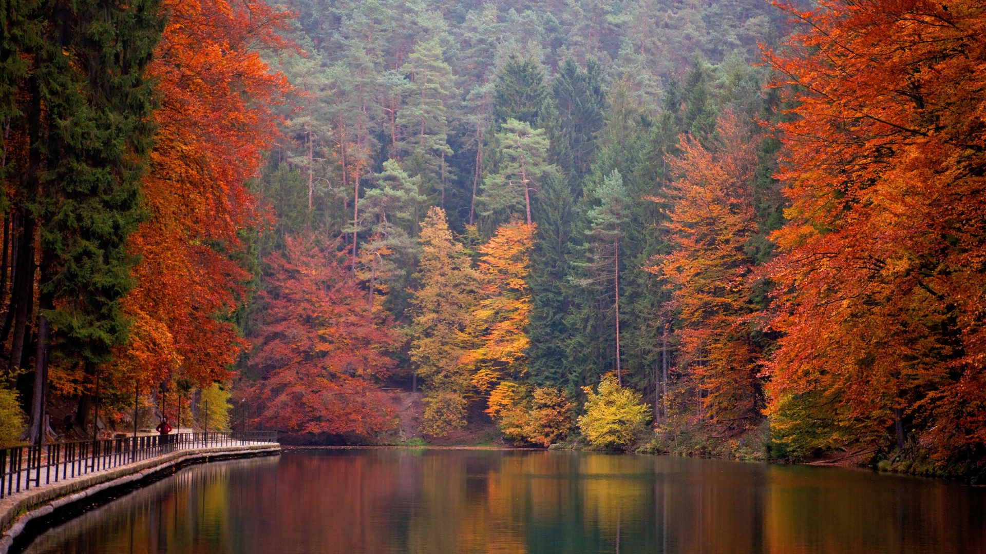 Обои парк, природный заповедник, природа, отражение, лист в разрешении 1920x1080