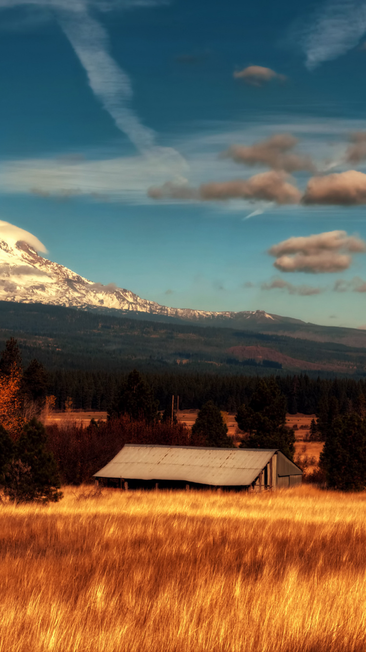 Обои облако, гора, сенокосное угодье, дикая местность, нагорье в разрешении 750x1334