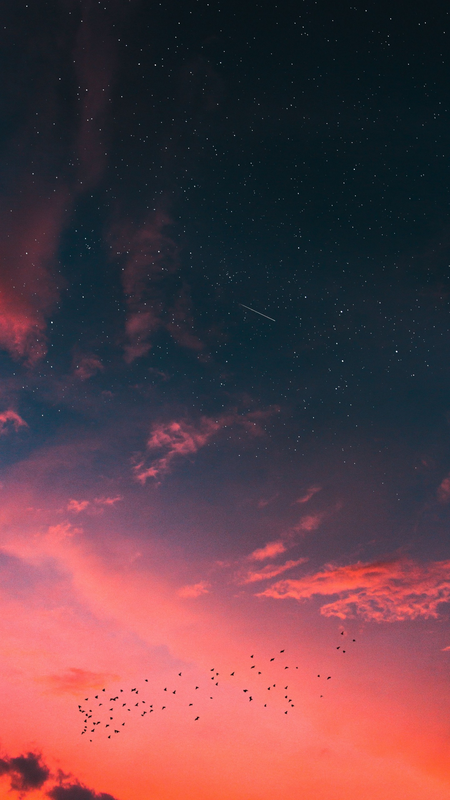 Обои Найк закат, закат, природа, облако, атмосфера в разрешении 1440x2560