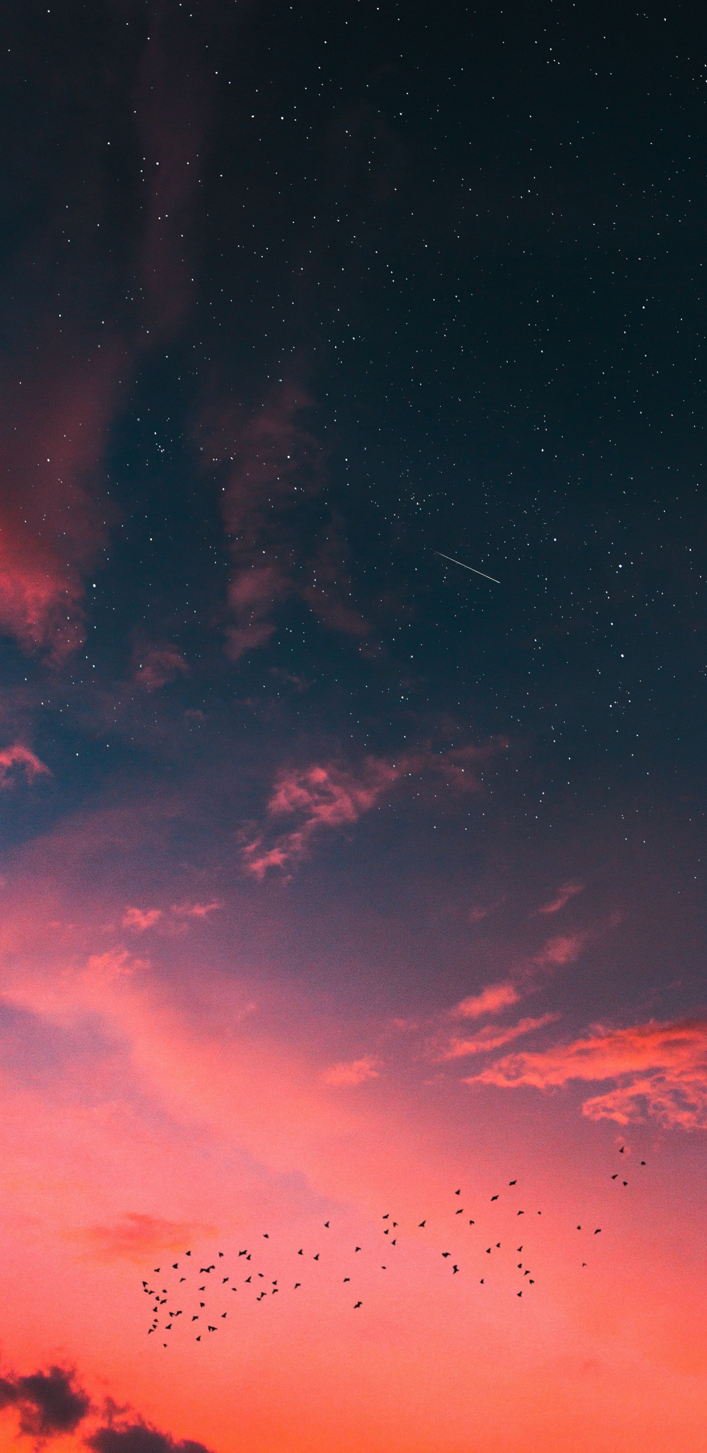 Обои Найк закат, закат, природа, облако, атмосфера в разрешении 1440x2960