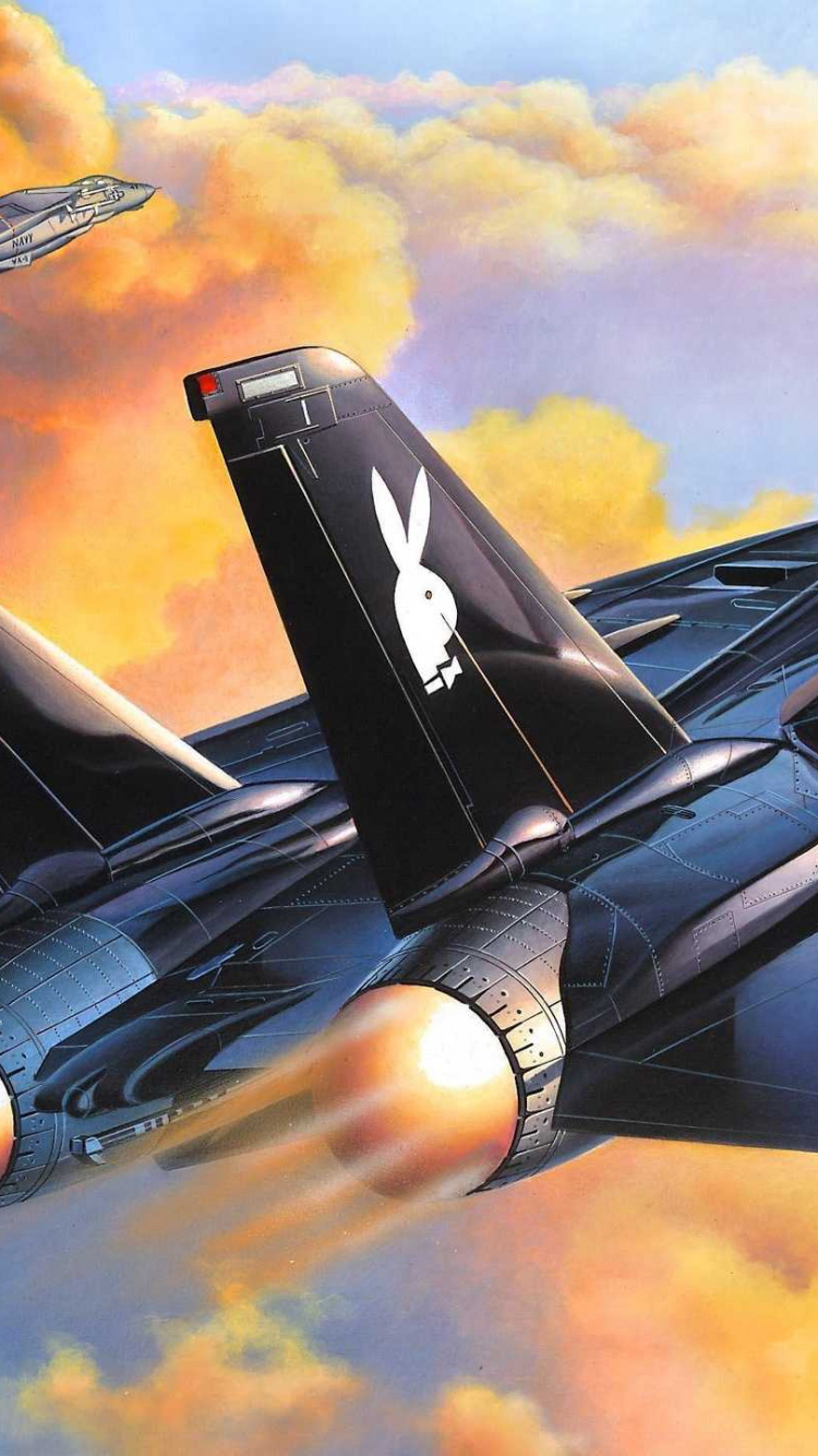 Обои Грумман, самолет, самолеты, военный самолет, истребительная авиация в разрешении 750x1334