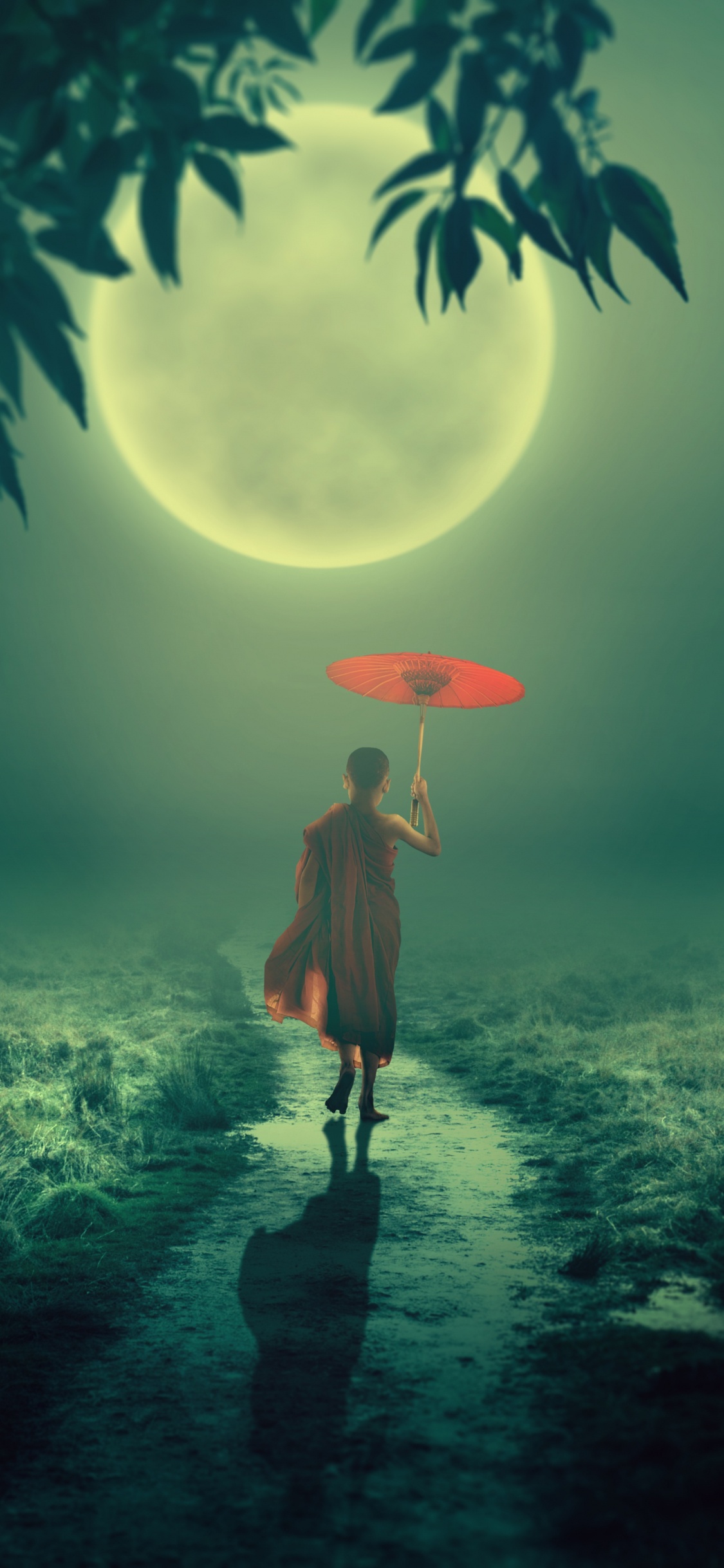 Обои монах, природа, зеленый, свет, атмосфера в разрешении 1125x2436