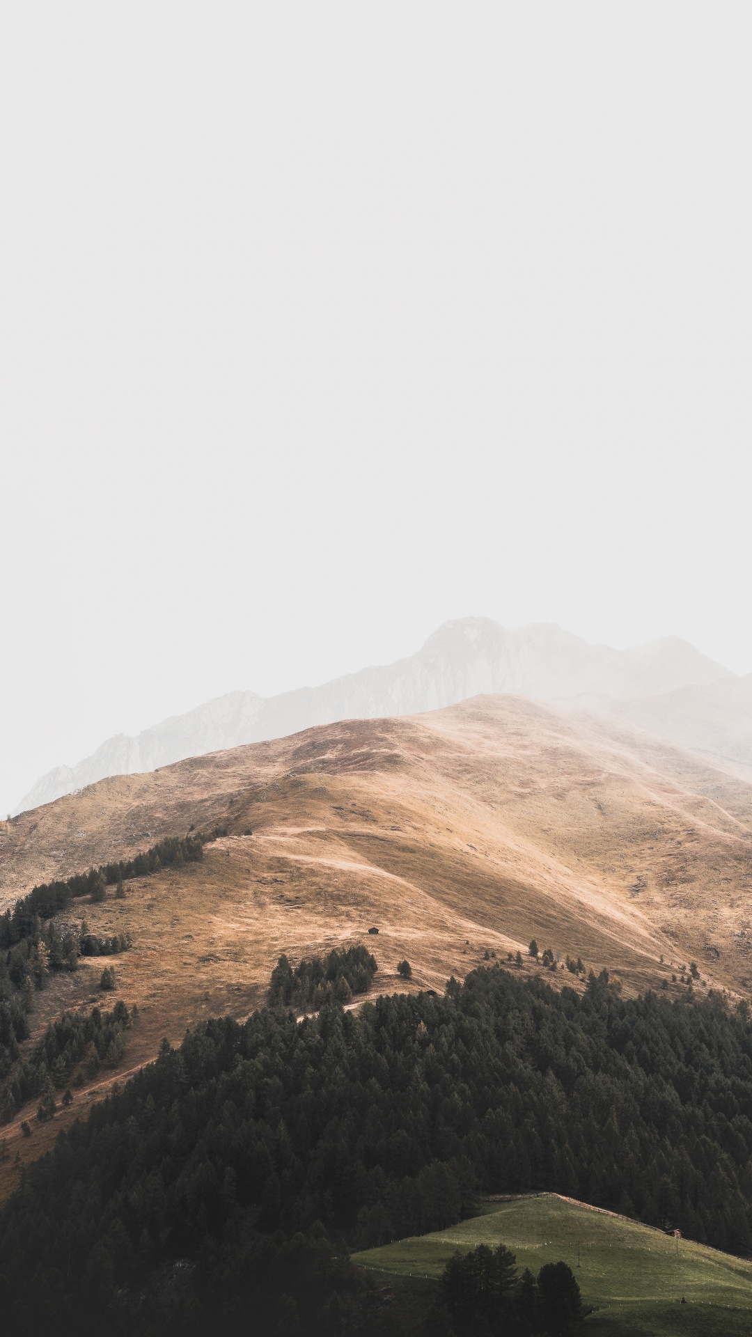 Обои Покрытие Зеленый, небо, нагорье, облако, горная станция в разрешении 1080x1920