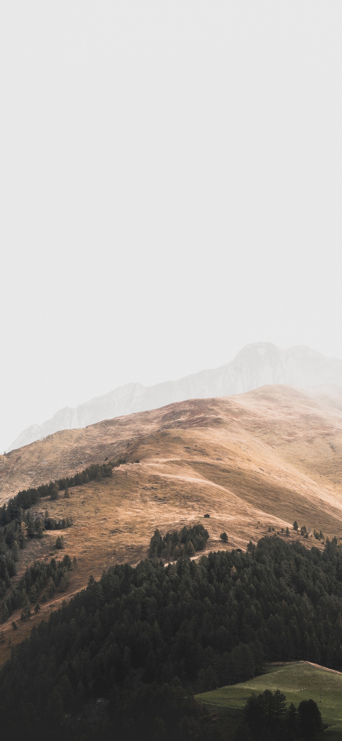 Обои Покрытие Зеленый, небо, нагорье, облако, горная станция в разрешении 1125x2436