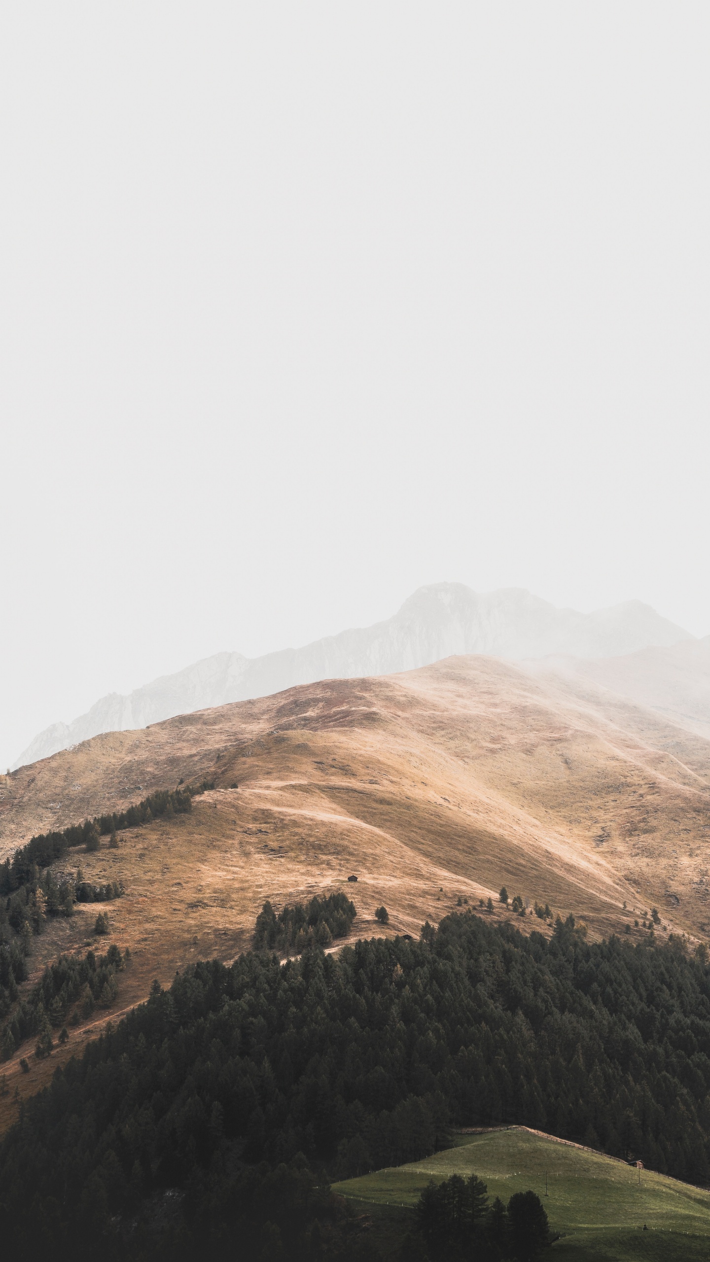 Обои Покрытие Зеленый, небо, нагорье, облако, горная станция в разрешении 1440x2560