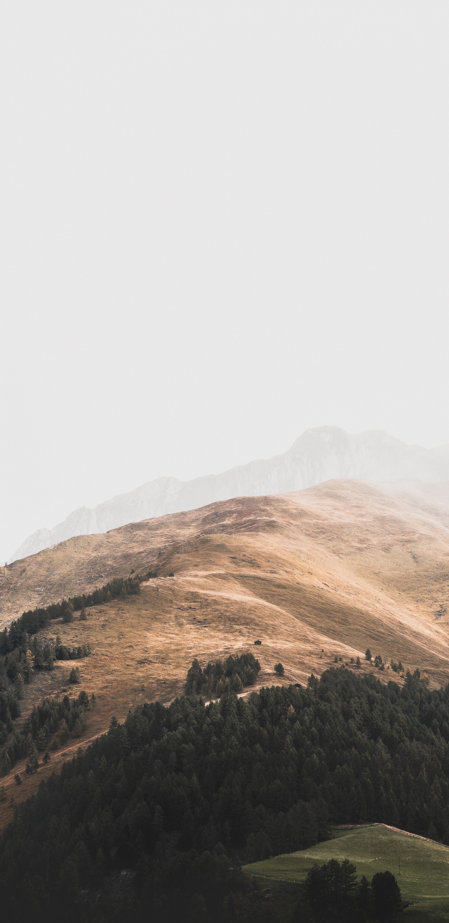 Обои Покрытие Зеленый, небо, нагорье, облако, горная станция в разрешении 1440x2960