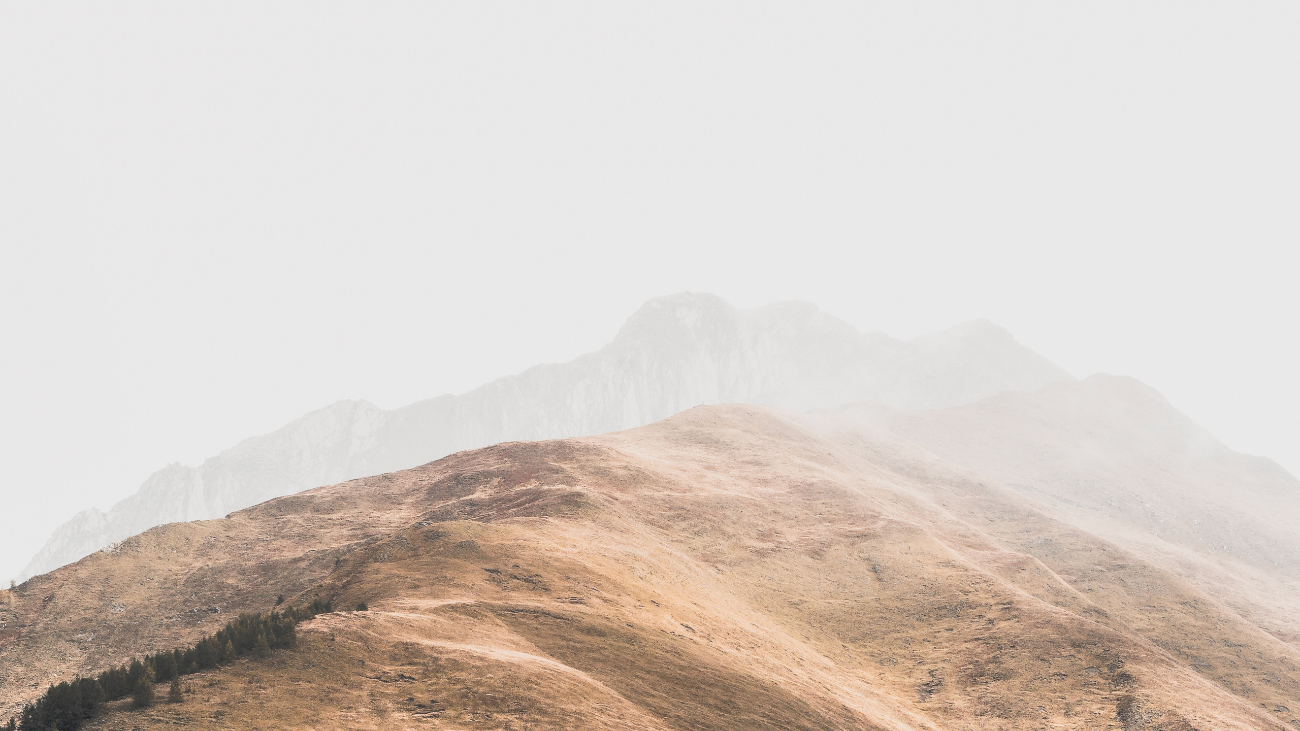 Обои Покрытие Зеленый, небо, нагорье, облако, горная станция в разрешении 2560x1440