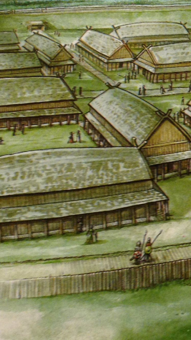 Обои Викинг кольцо крепости, компания Trelleborg, викинги, фортификация, варяг в разрешении 750x1334