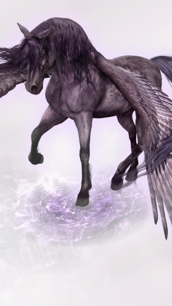 Обои конь, Пегас, грива, Мустанг лошадь, жеребец в разрешении 720x1280