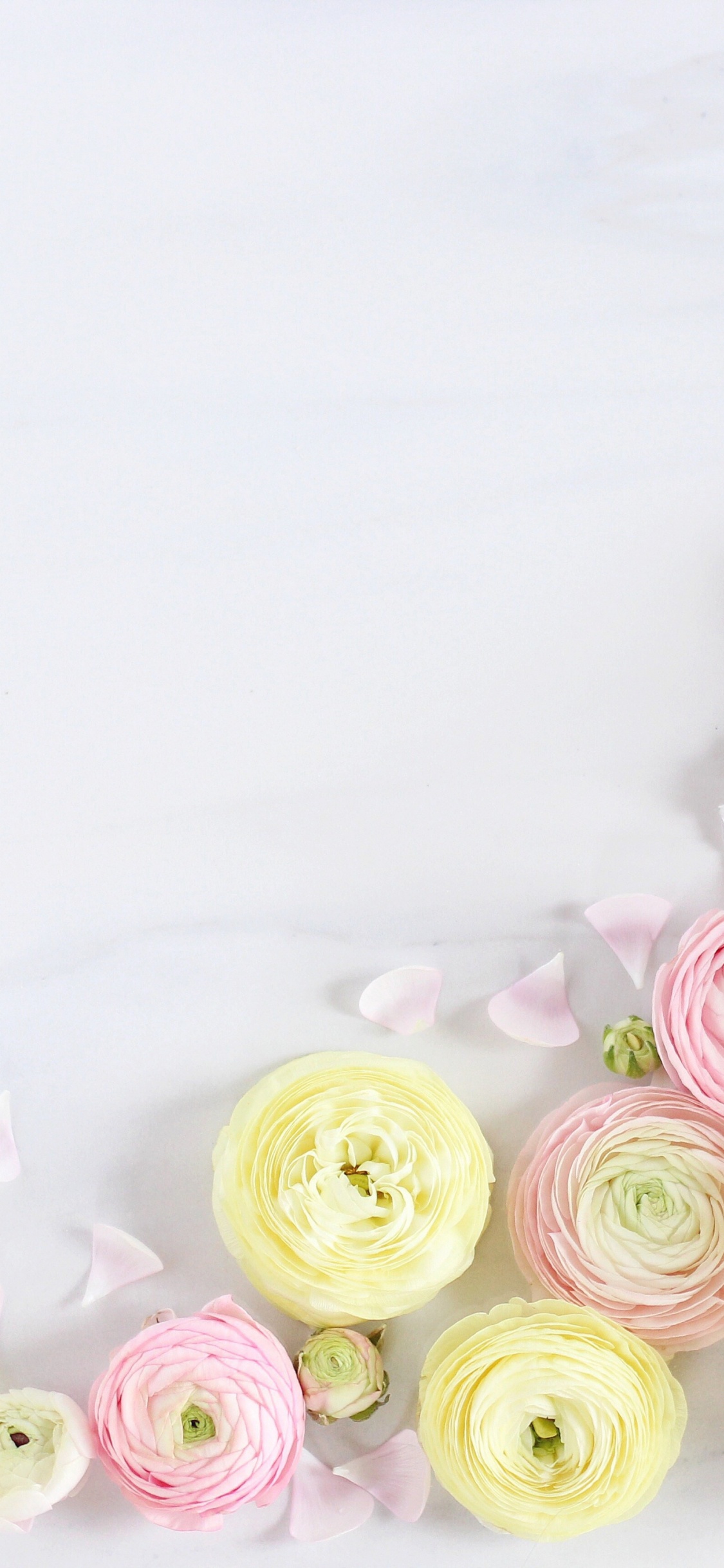 Обои Роза, букет, цветок, сотовый телефон, искусственный цветок в разрешении 1125x2436