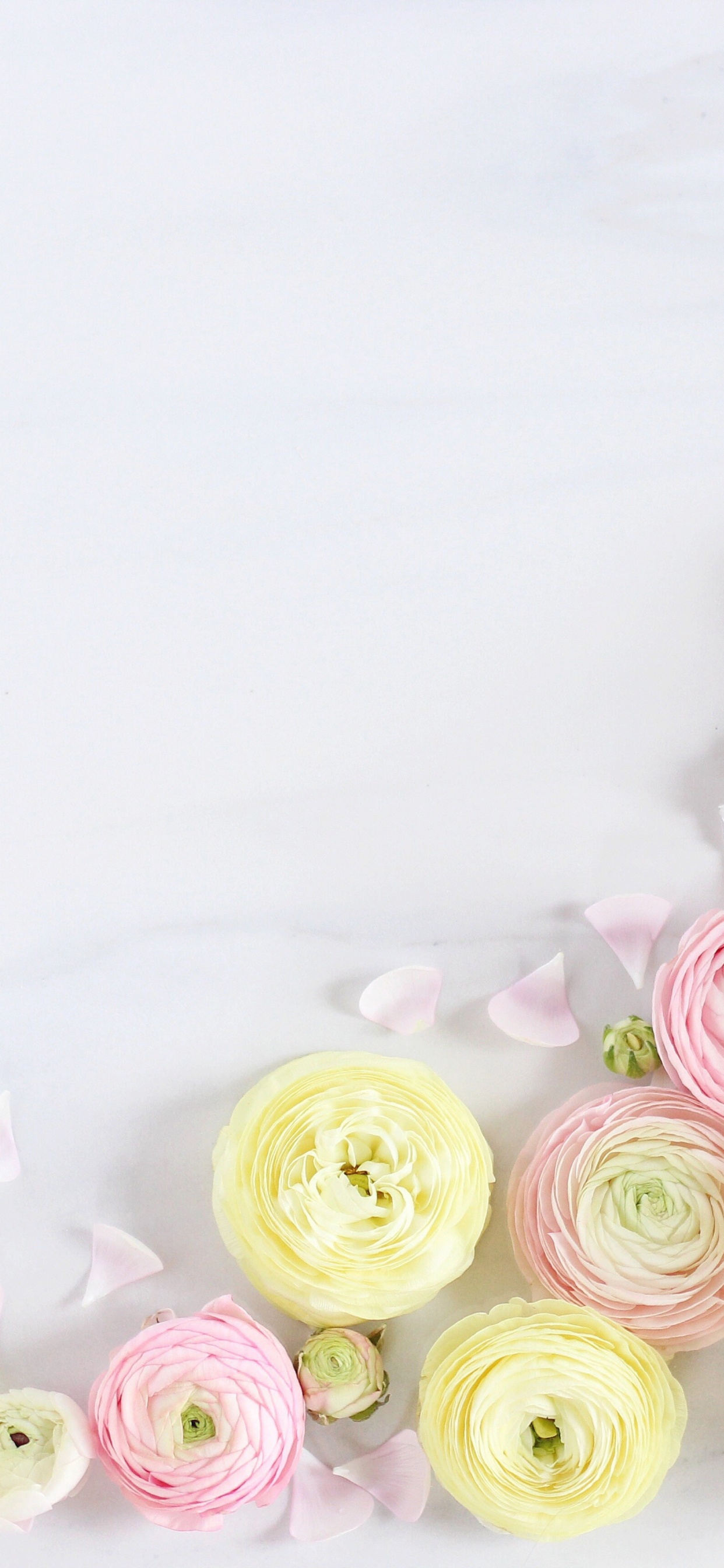 Обои Роза, букет, цветок, сотовый телефон, искусственный цветок в разрешении 1242x2688