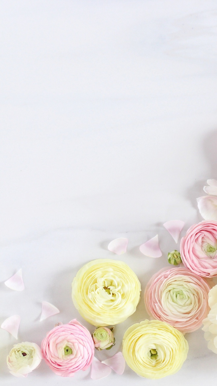 Обои Роза, букет, цветок, сотовый телефон, искусственный цветок в разрешении 720x1280