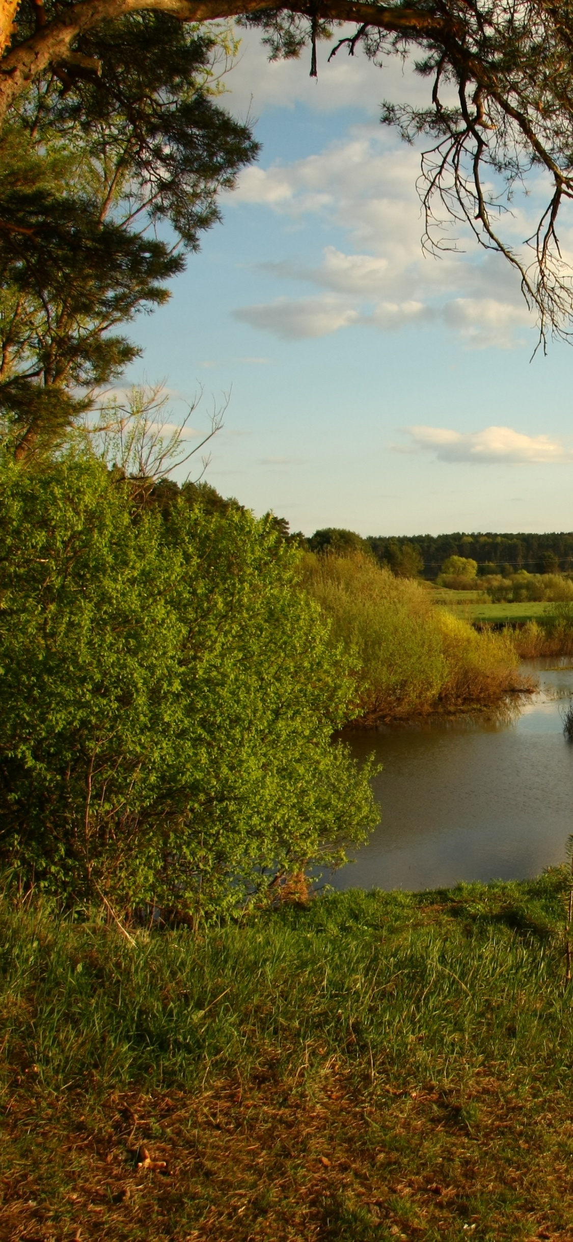 Обои природа, реки, водоем, вода, отражение в разрешении 1125x2436